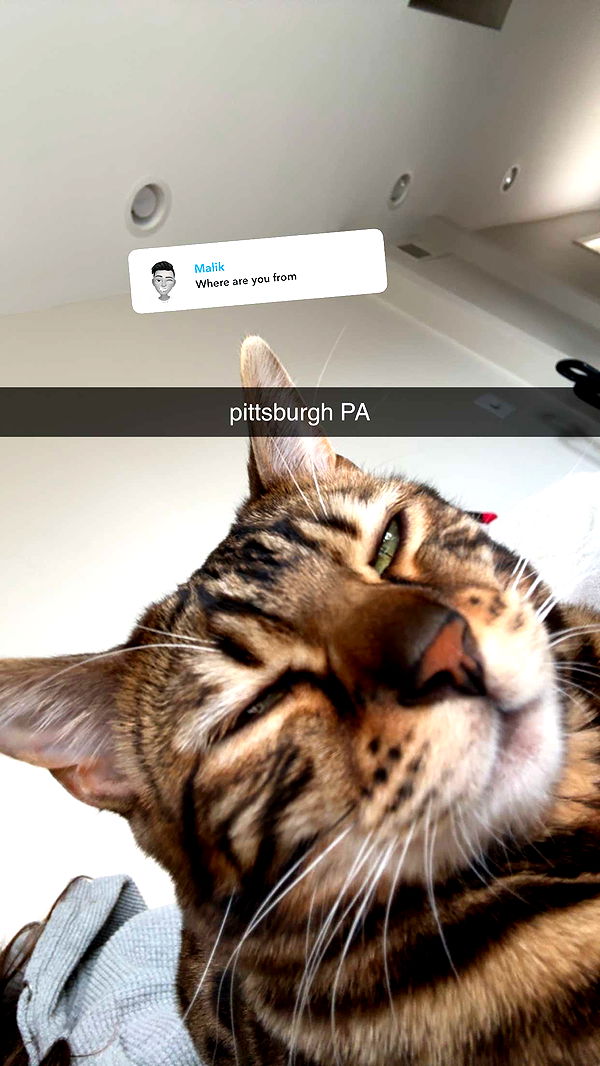 ameliabfit image ~ Altpins