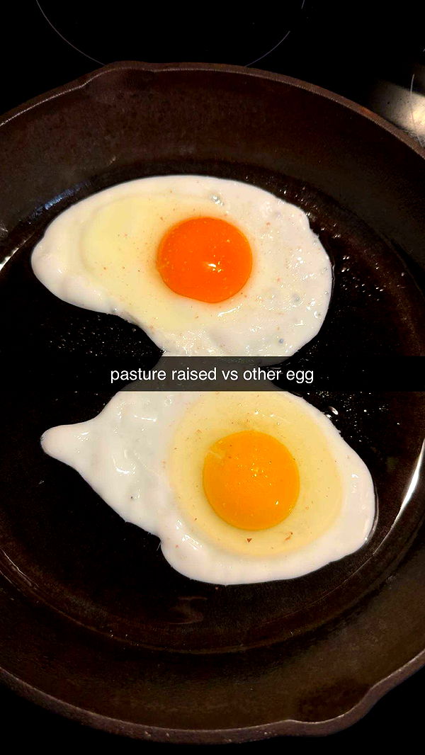 ameliabfit image ~ Altpins