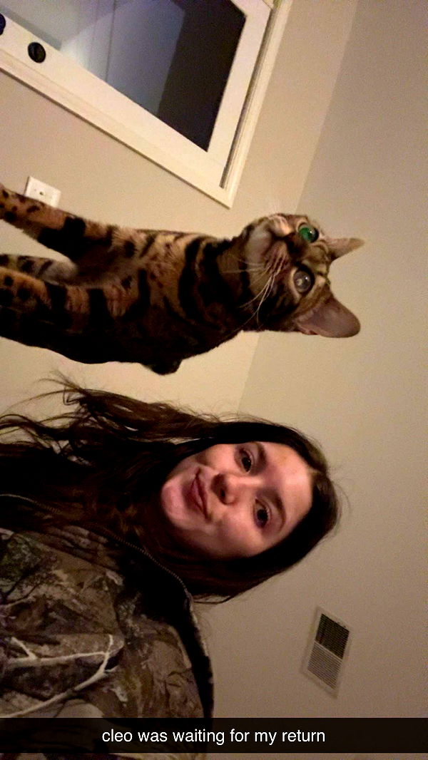 ameliabfit image ~ Altpins