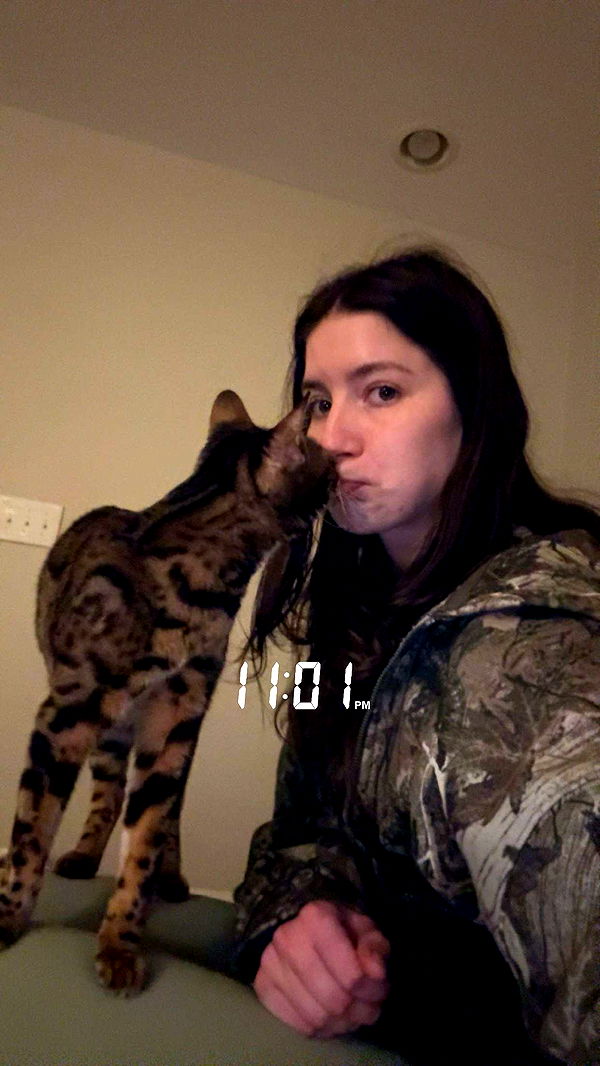 ameliabfit image ~ Altpins