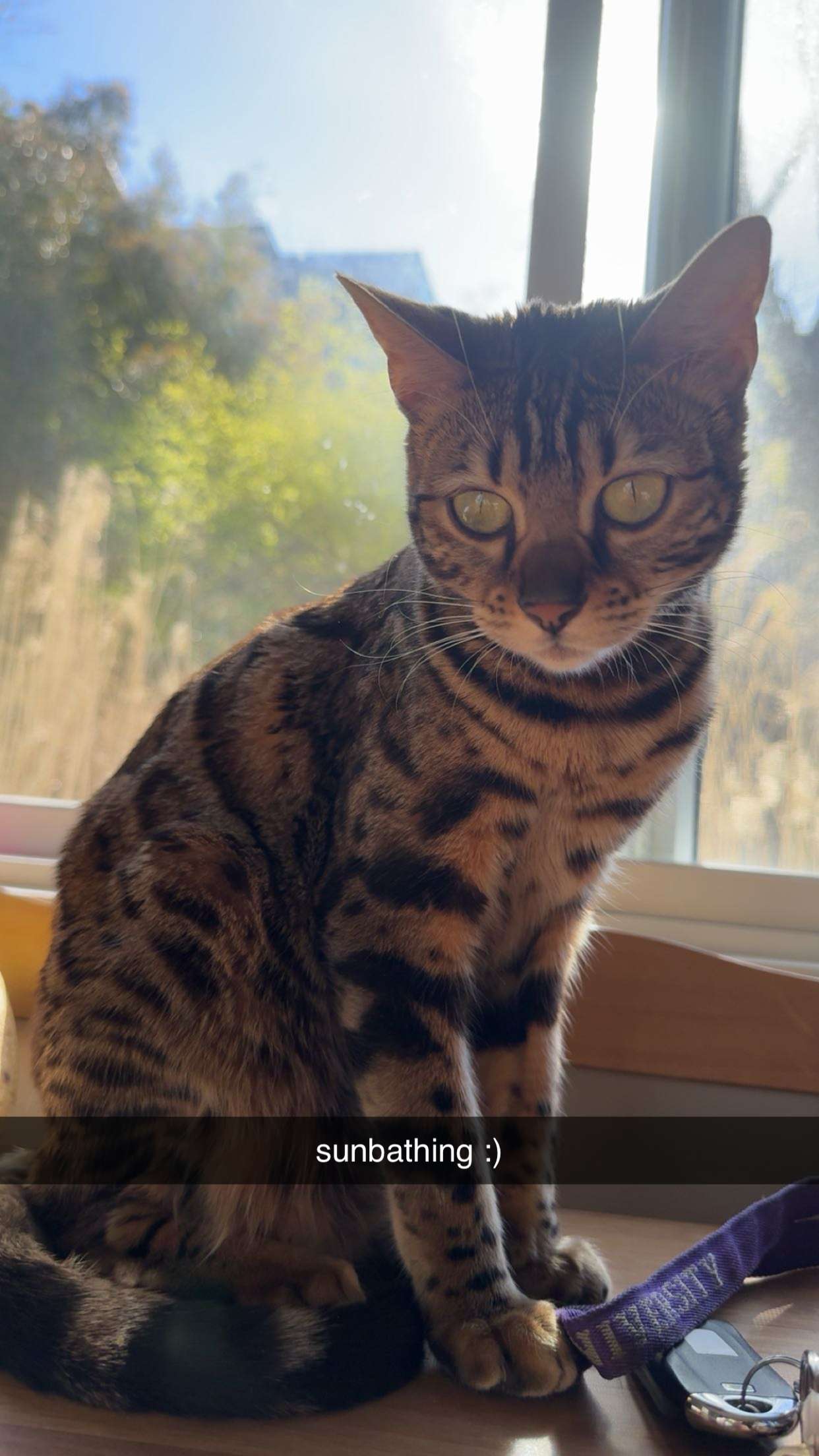 ameliabfit snapchat image archive image