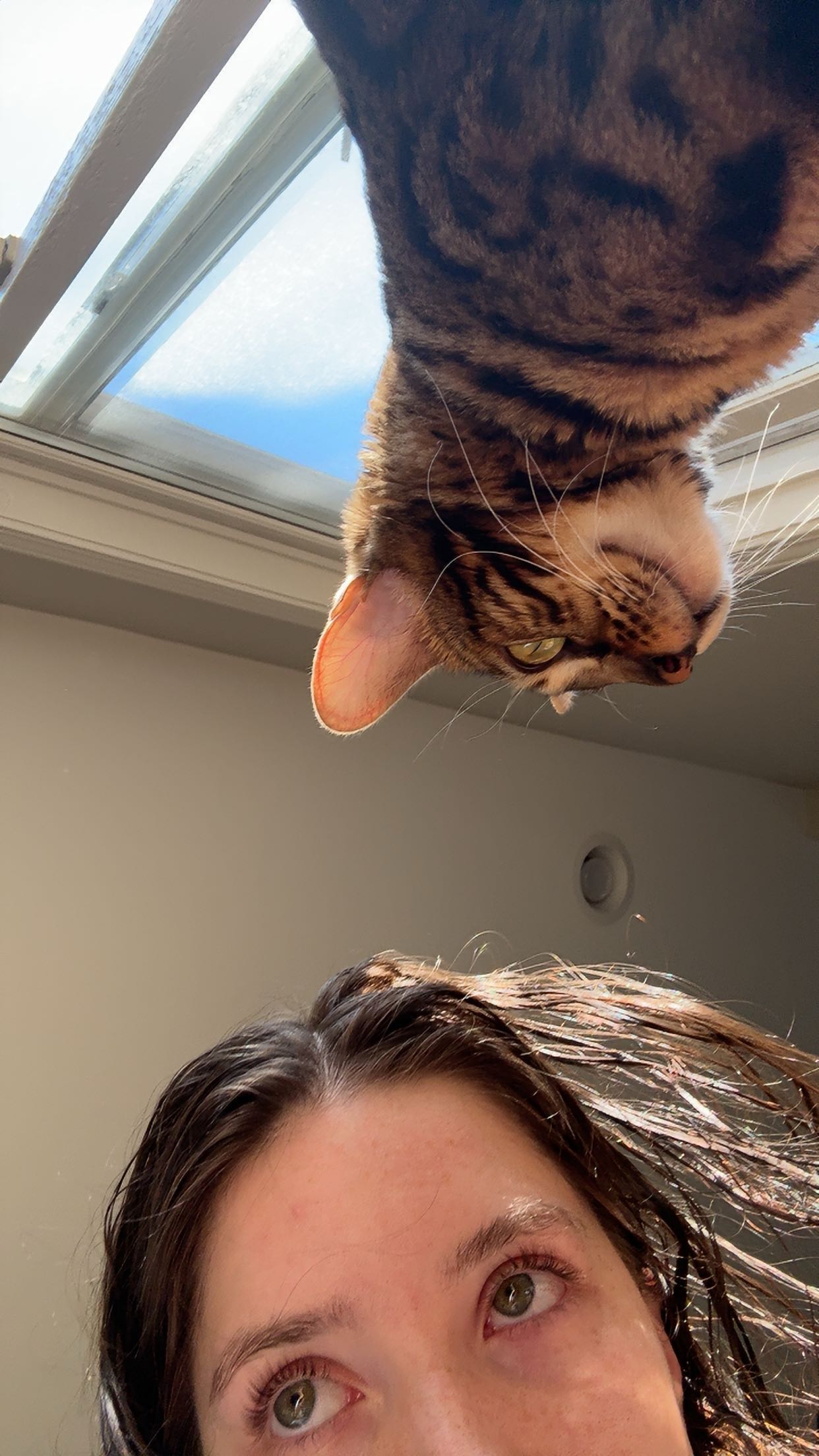 ameliabfit snapchat image archive image