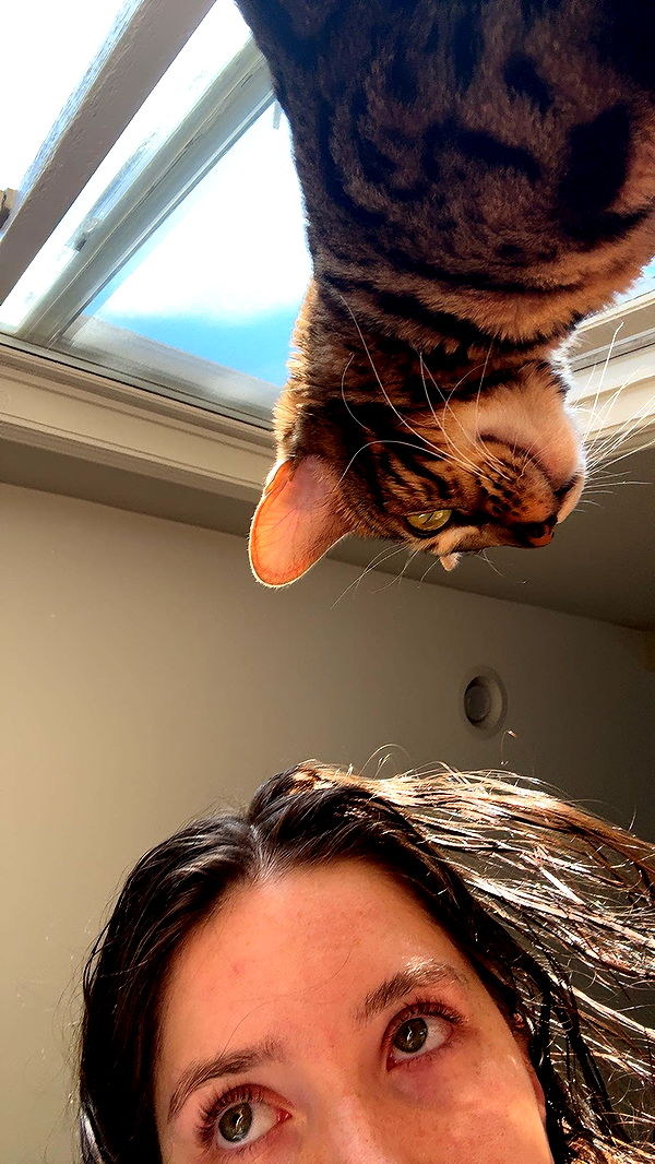 ameliabfit image ~ Altpins