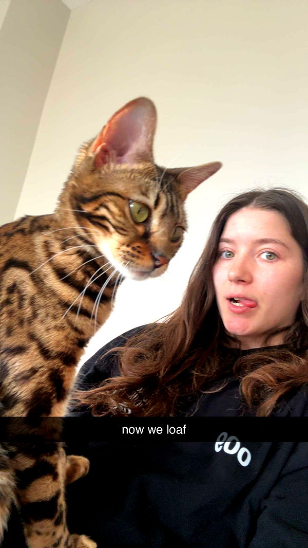 ameliabfit image ~ Altpins