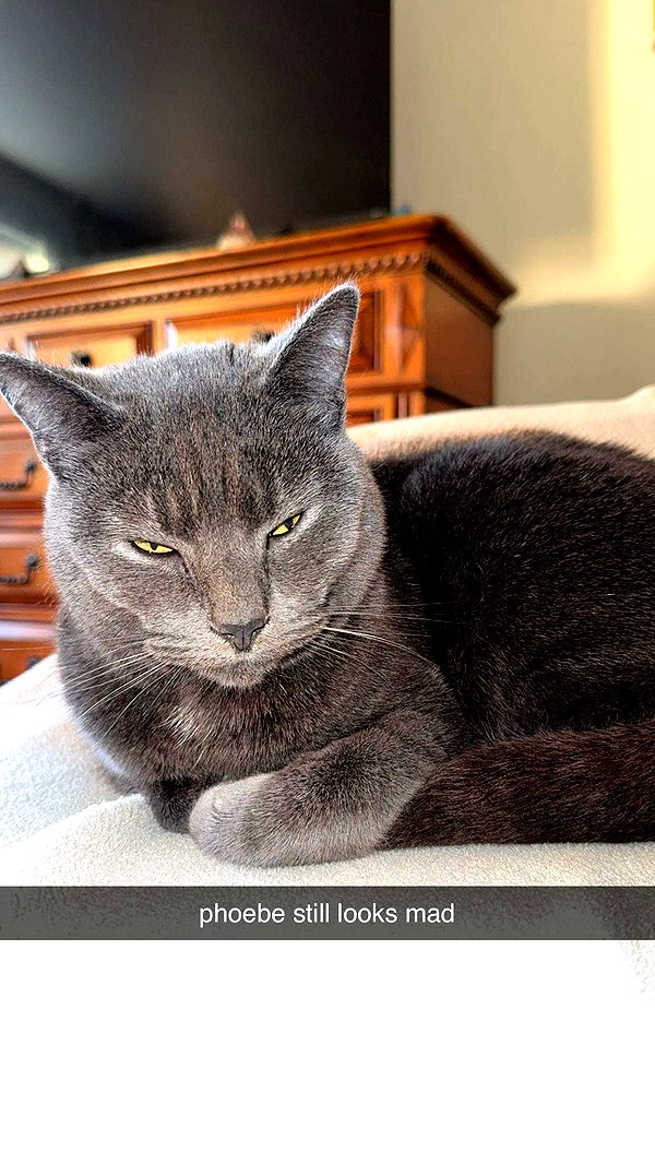 ameliabfit image ~ Altpins