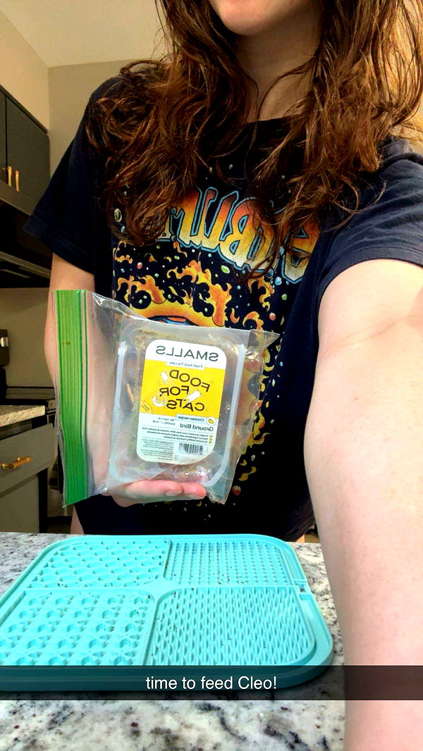 ameliabfit image ~ Altpins