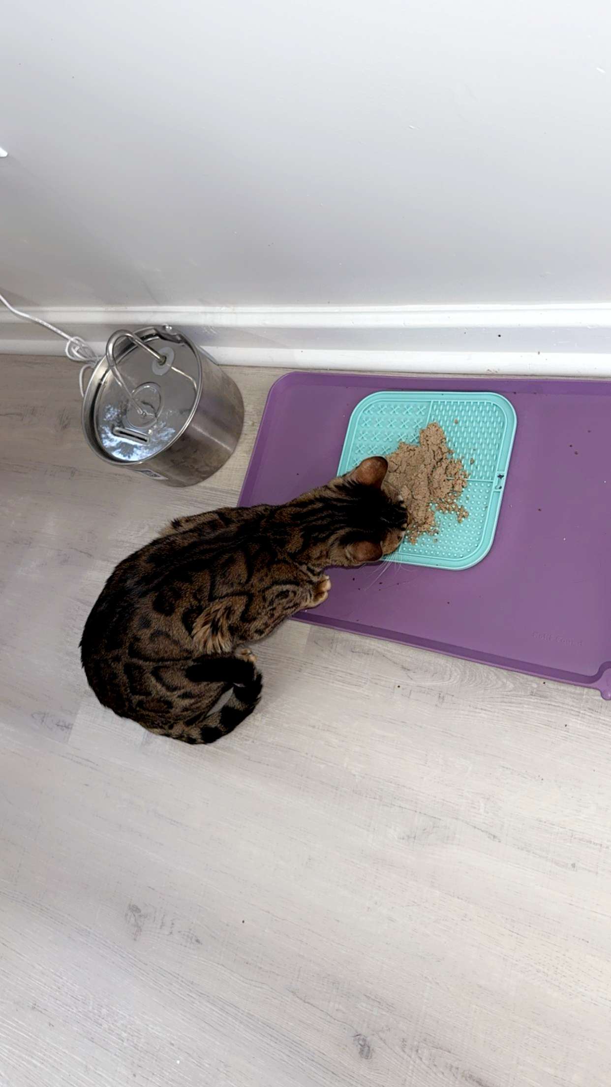 ameliabfit snapchat image archive image