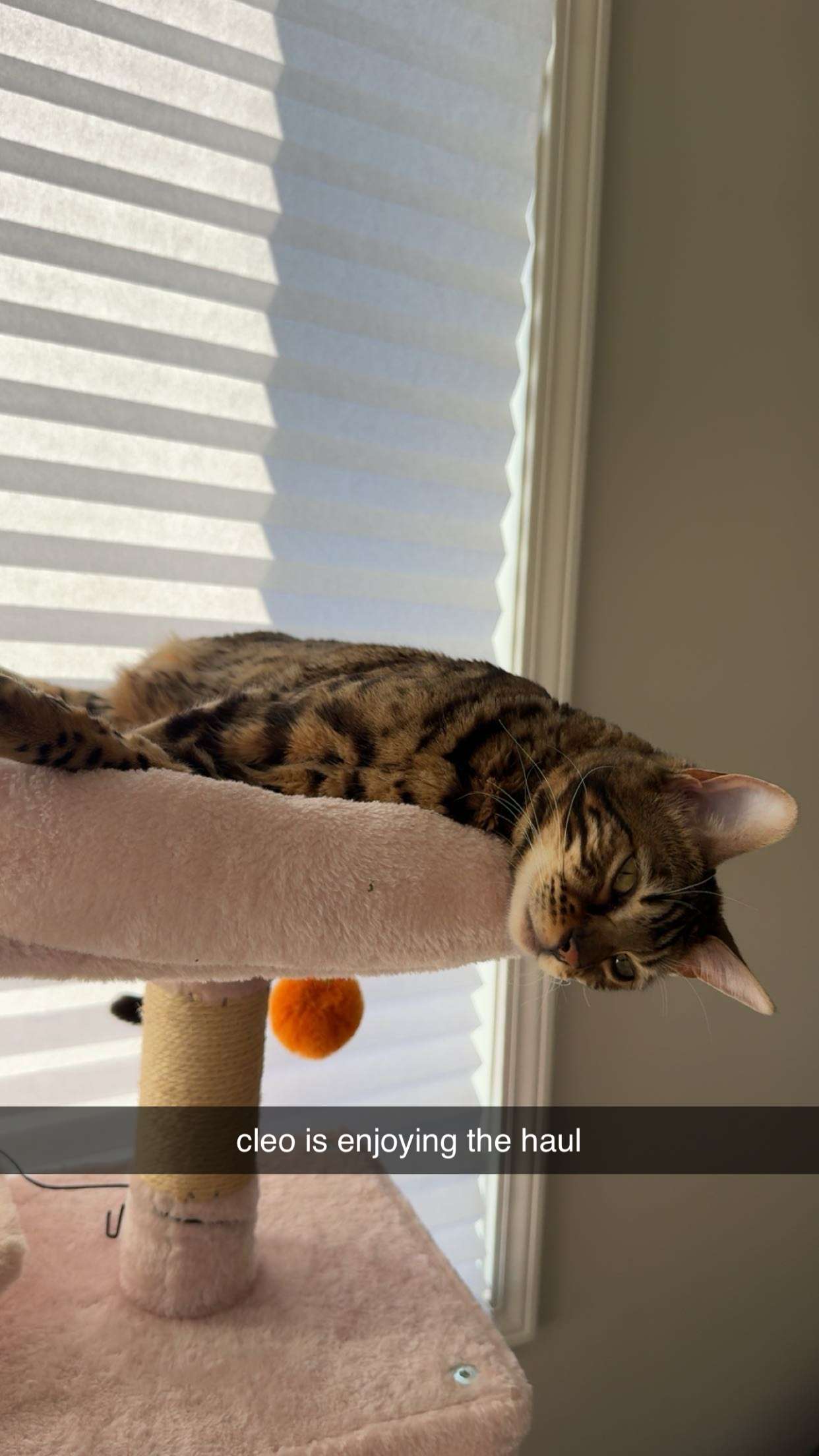 ameliabfit snapchat image archive image