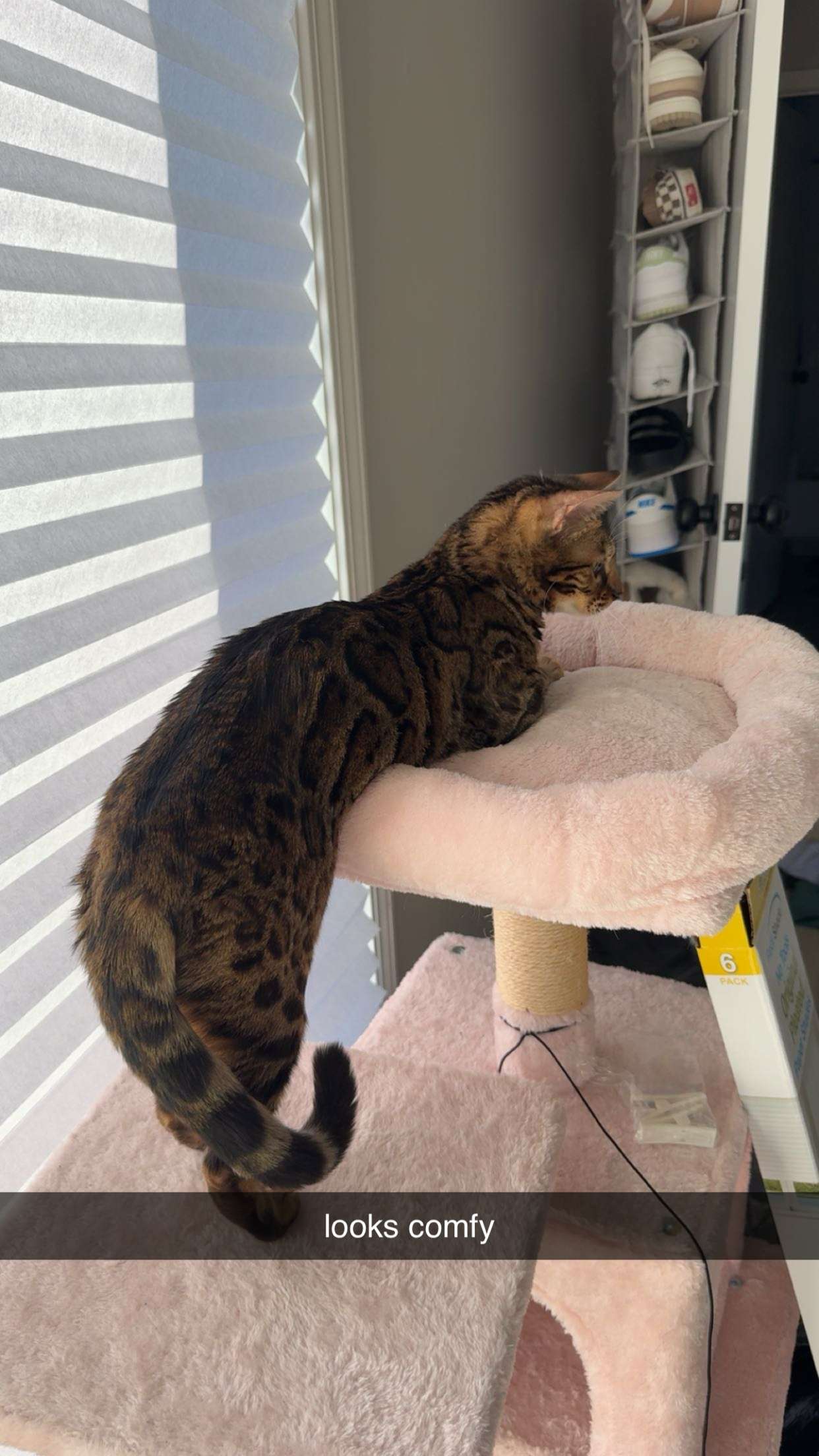 ameliabfit snapchat image archive image