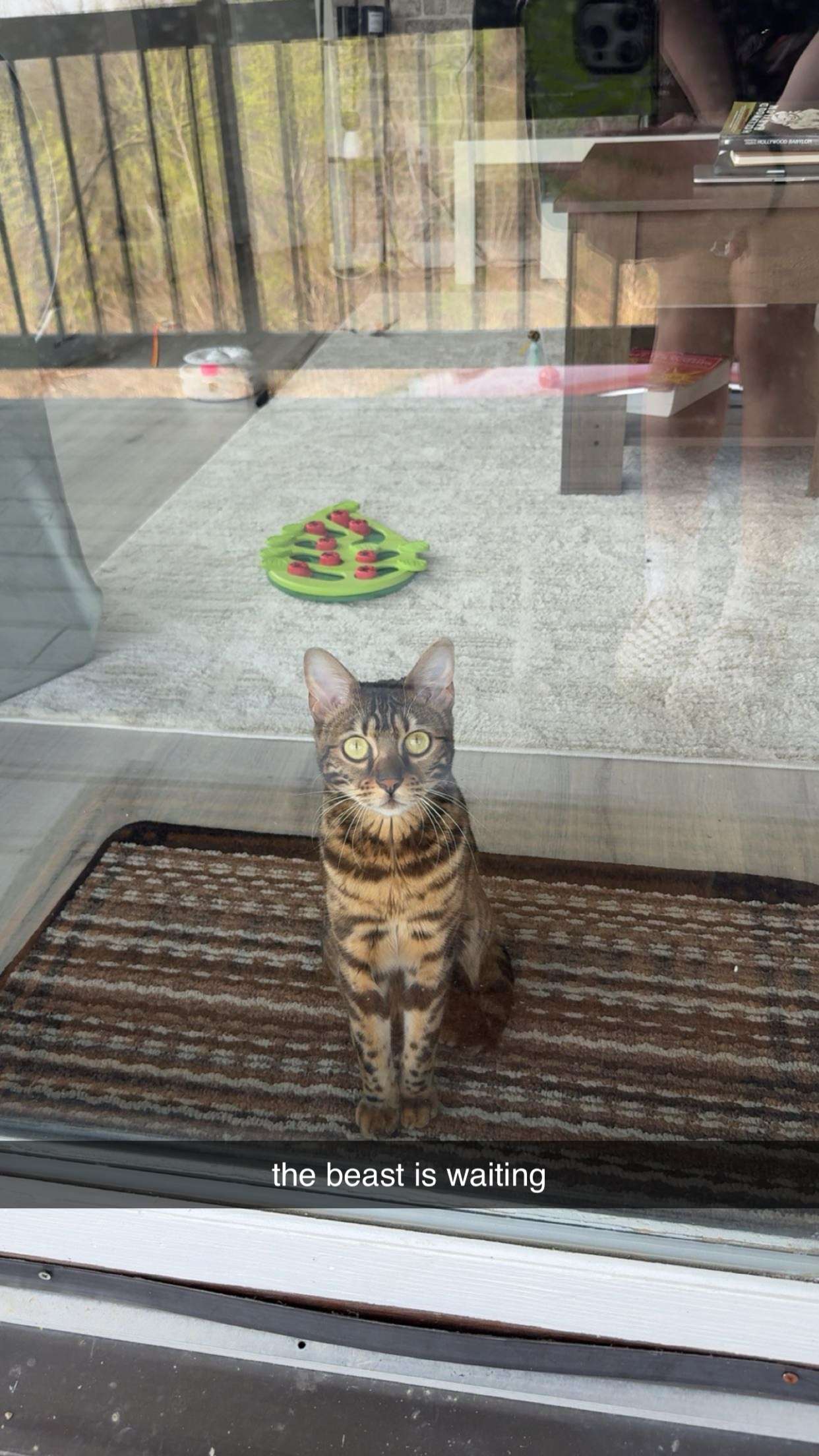 ameliabfit snapchat image archive image