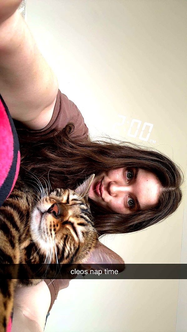 ameliabfit image ~ Altpins