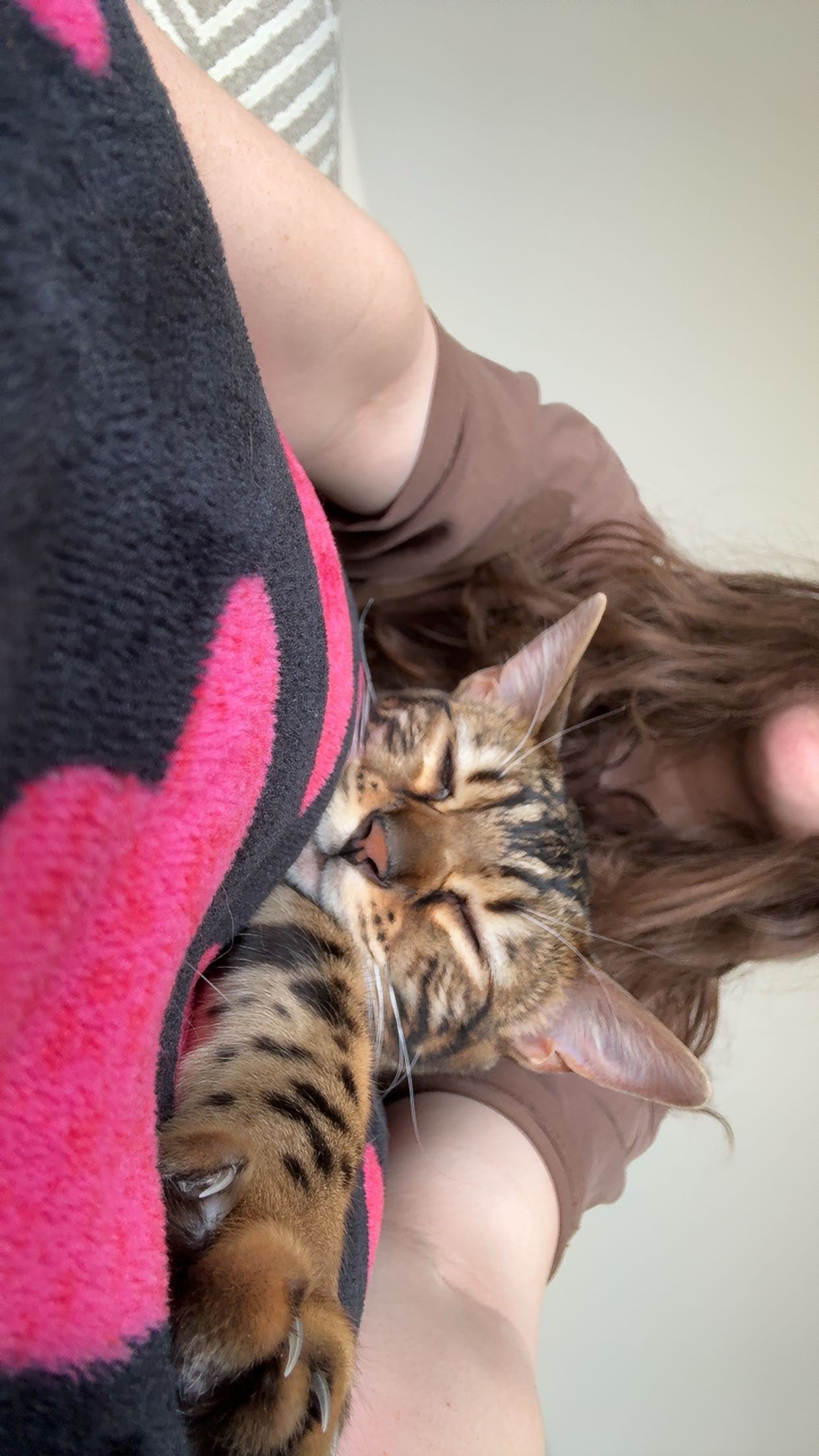 ameliabfit snapchat image archive image