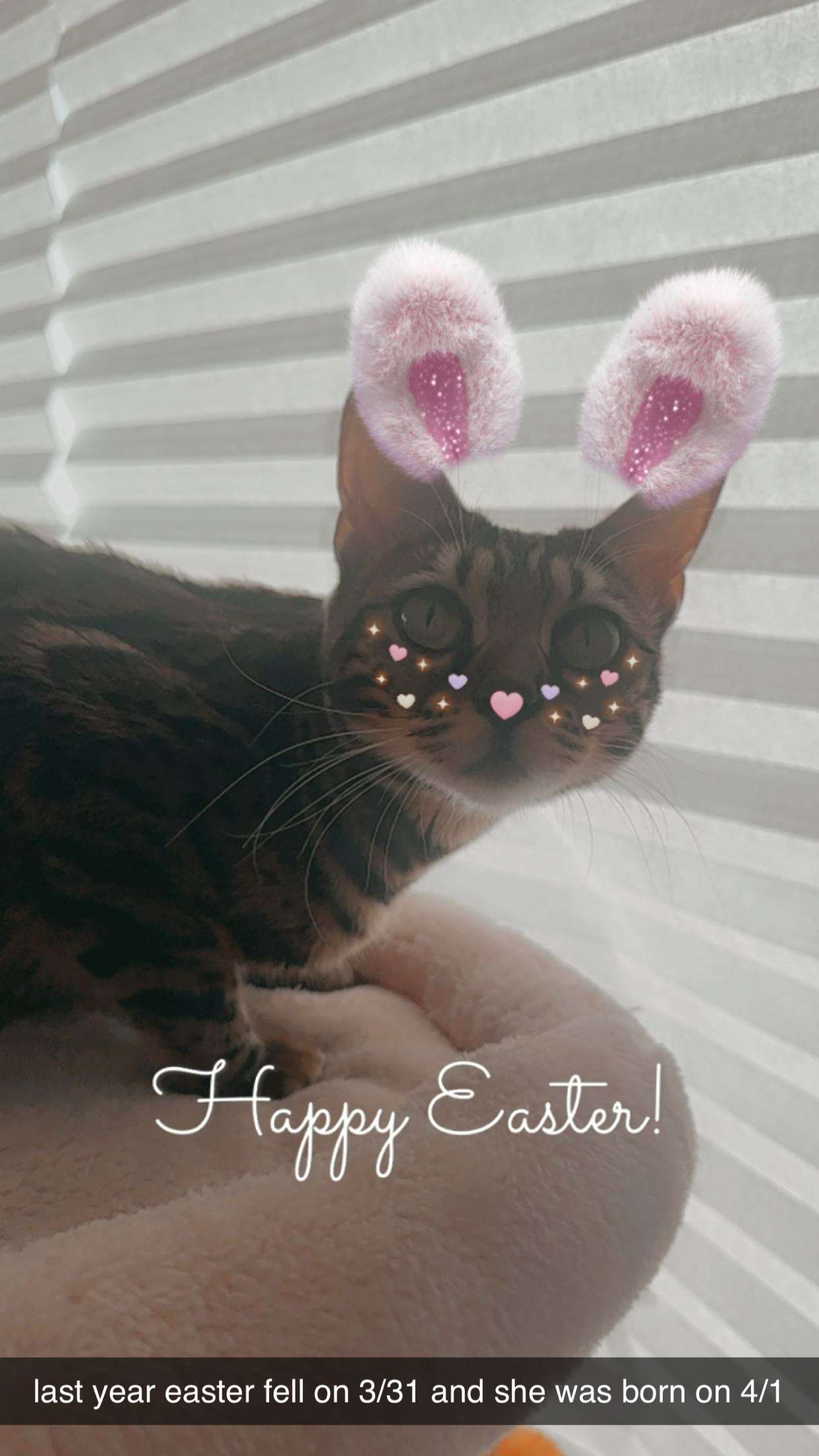 ameliabfit snapchat image archive image