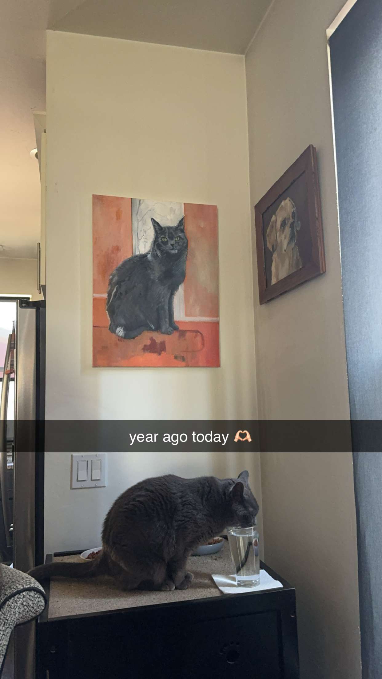 ameliabfit snapchat image archive image