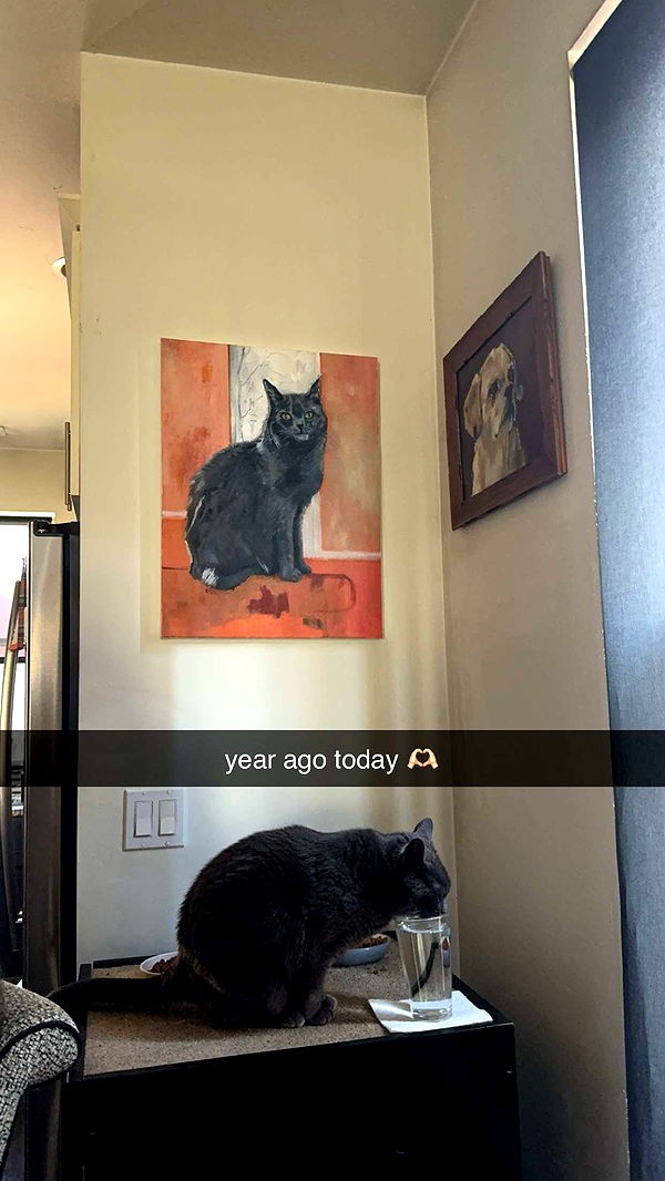 ameliabfit image ~ Altpins