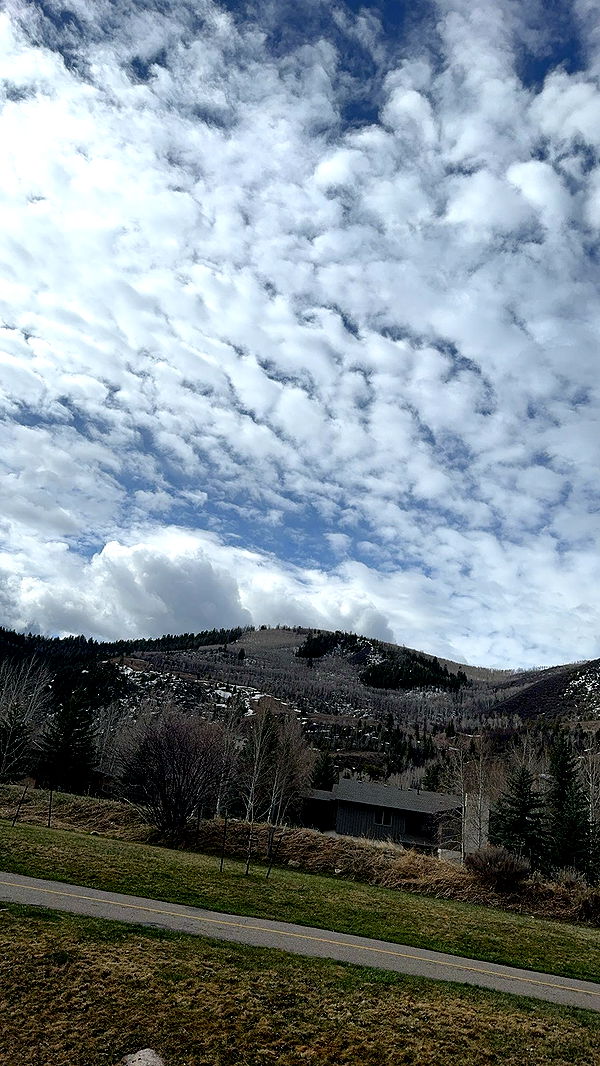 ameliabfit image ~ Altpins