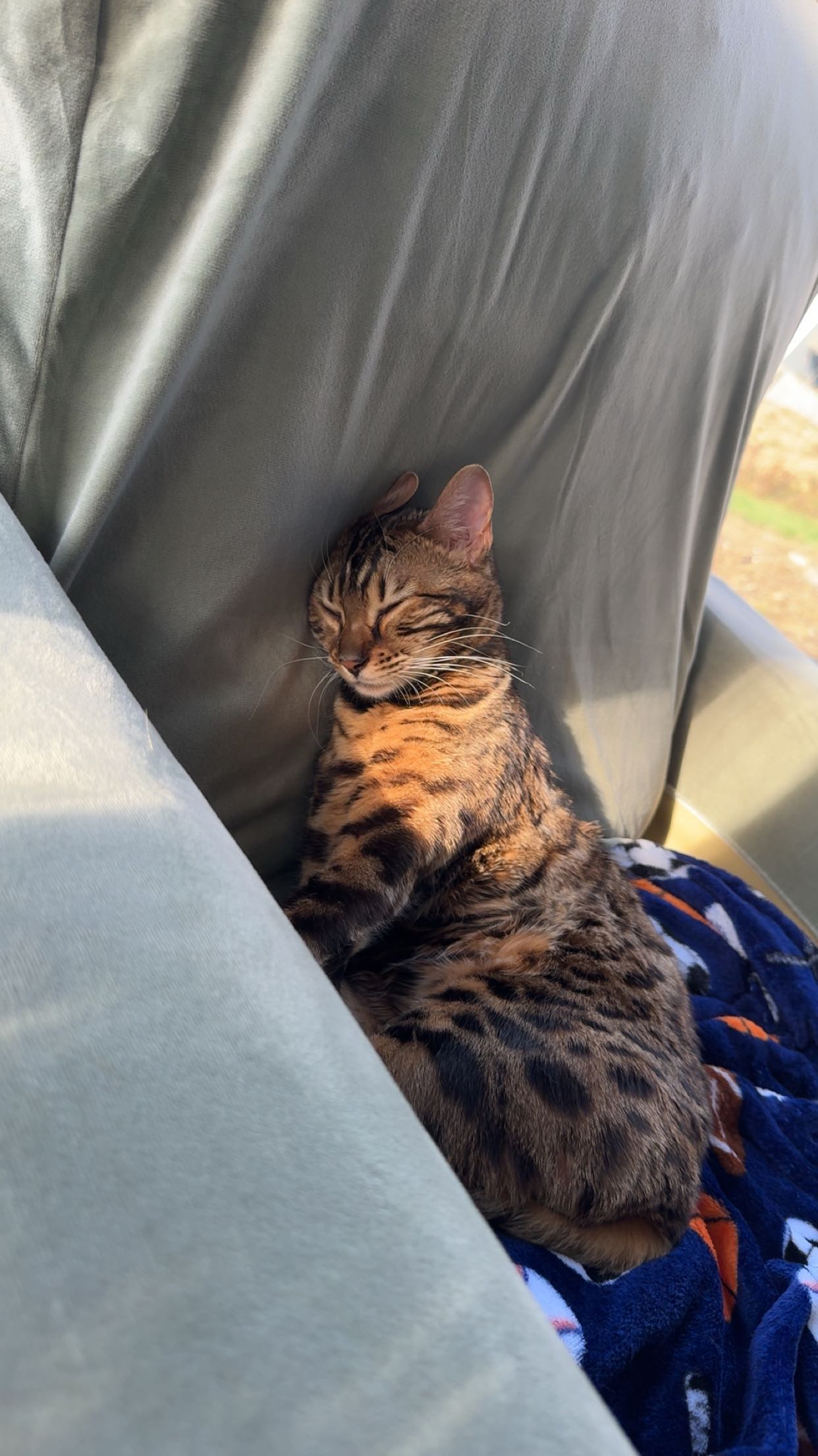 ameliabfit snapchat image archive image