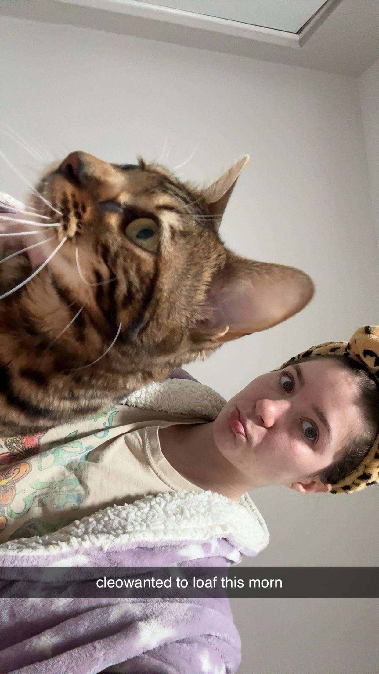 ameliabfit snapchat image archive image