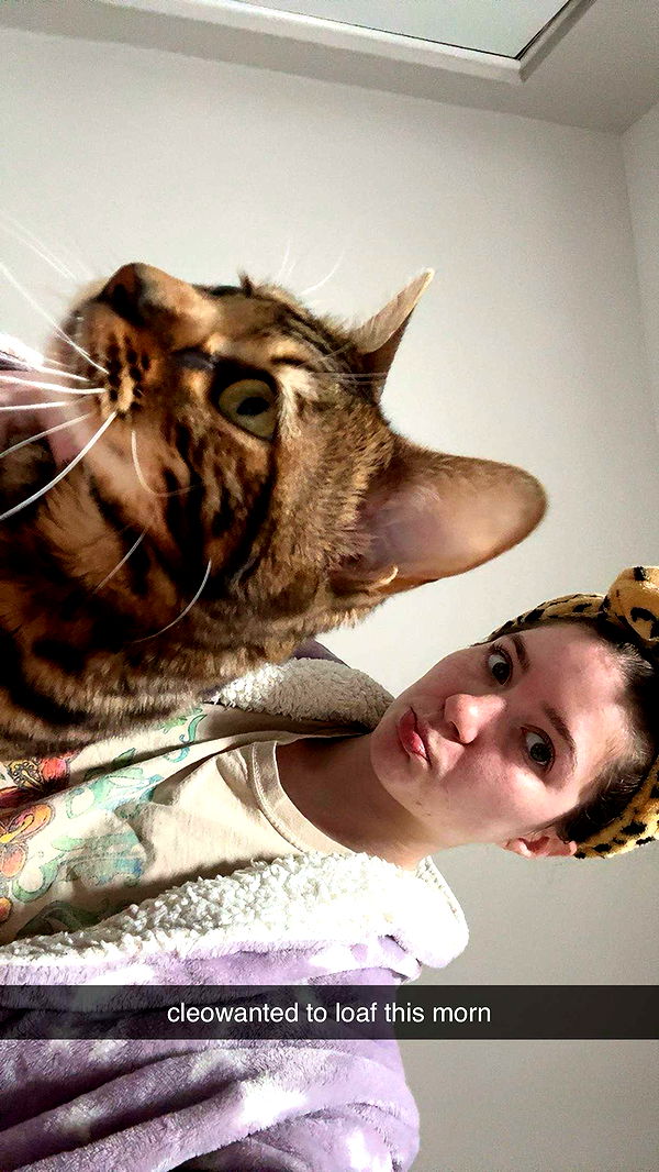 ameliabfit image ~ Altpins