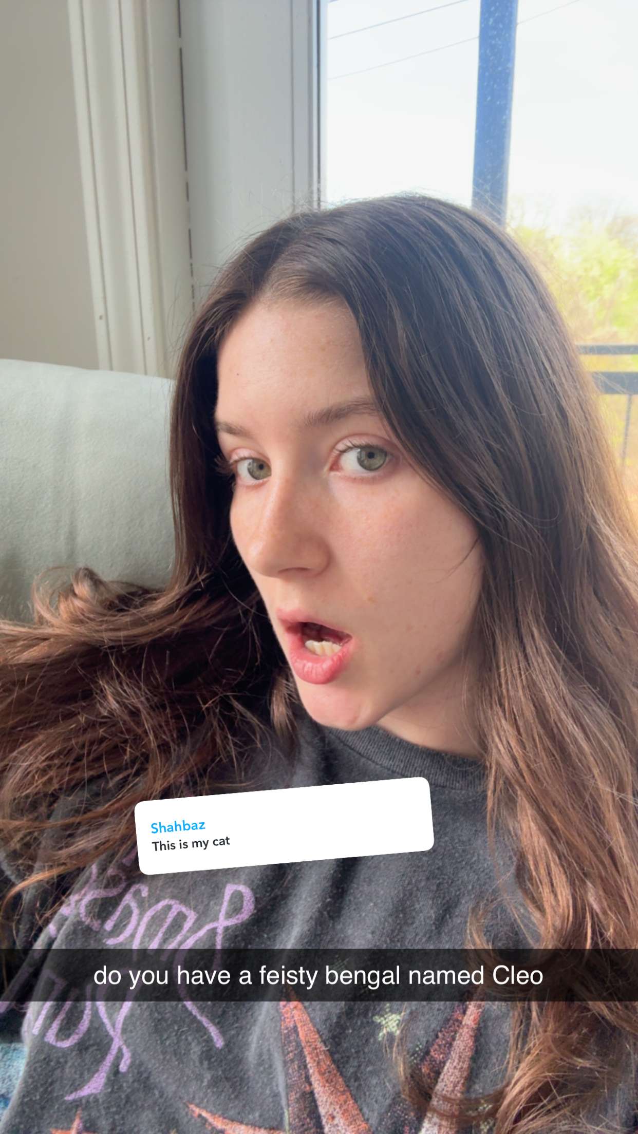 ameliabfit snapchat image archive image