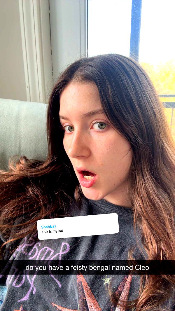 ameliabfit image ~ Altpins