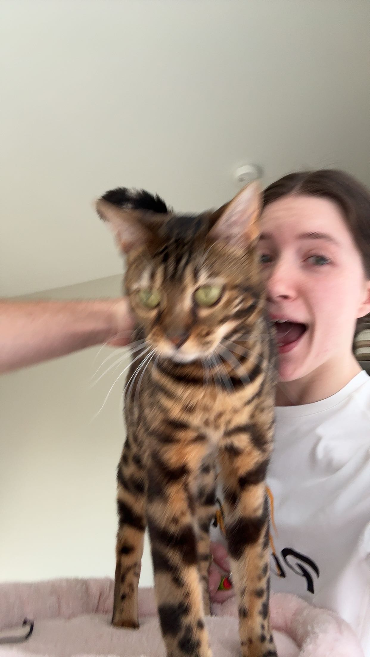 ameliabfit snapchat image archive image