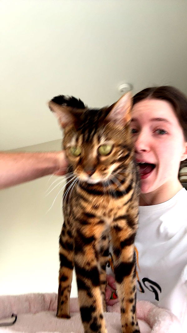 ameliabfit image ~ Altpins