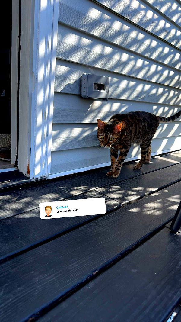 ameliabfit image ~ Altpins