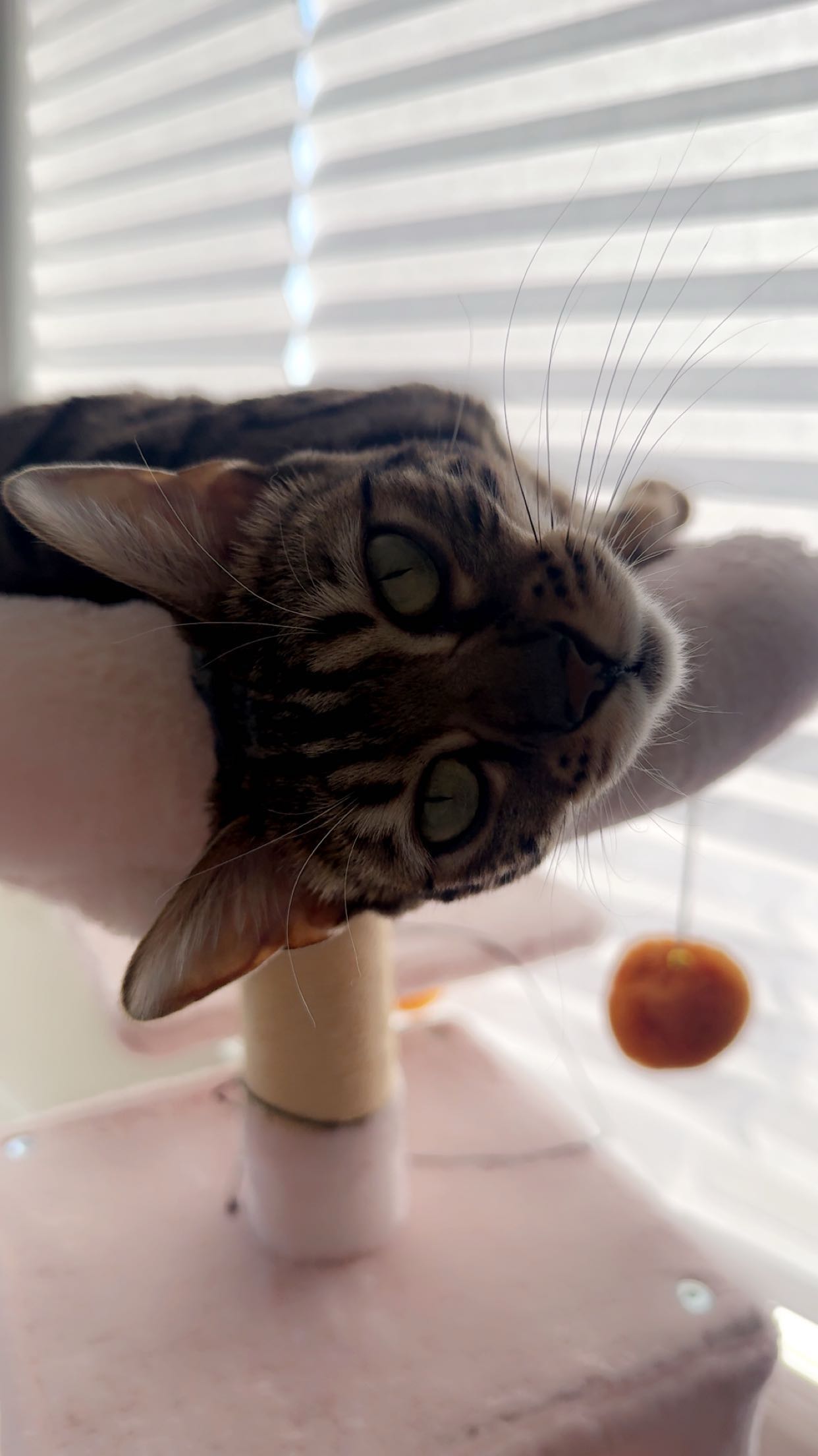 ameliabfit snapchat image archive image