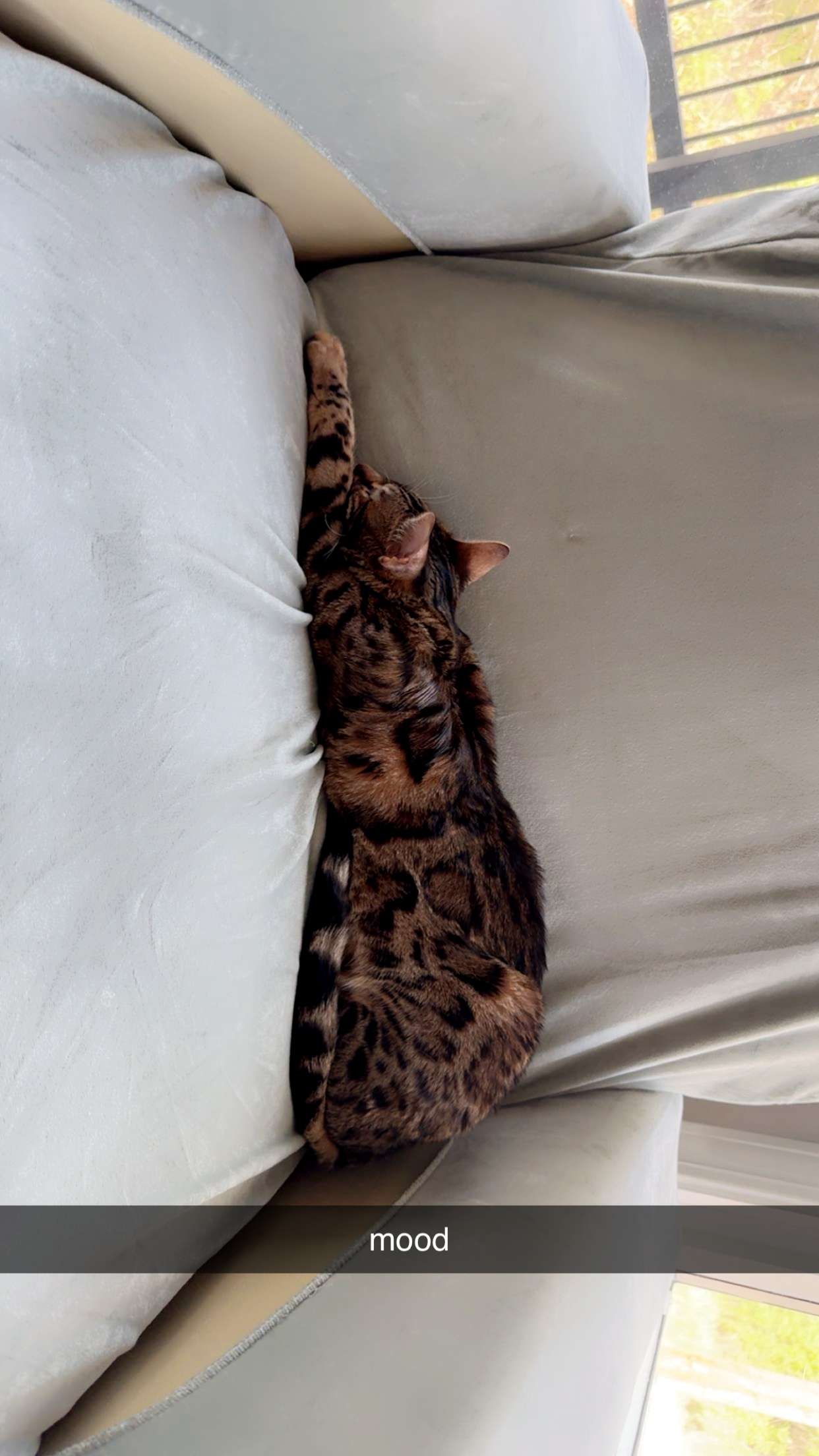 ameliabfit snapchat image archive image