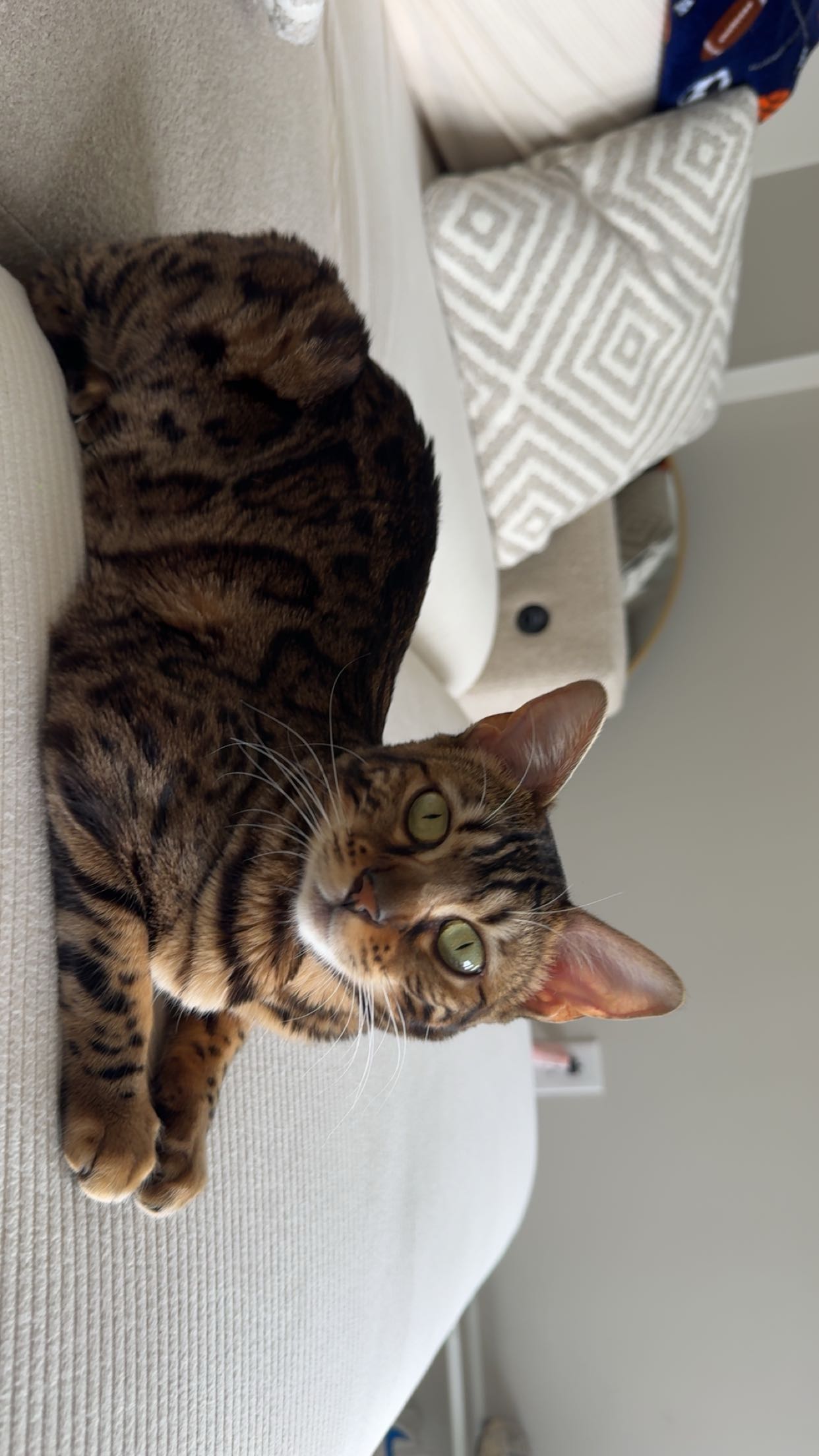 ameliabfit snapchat image archive image