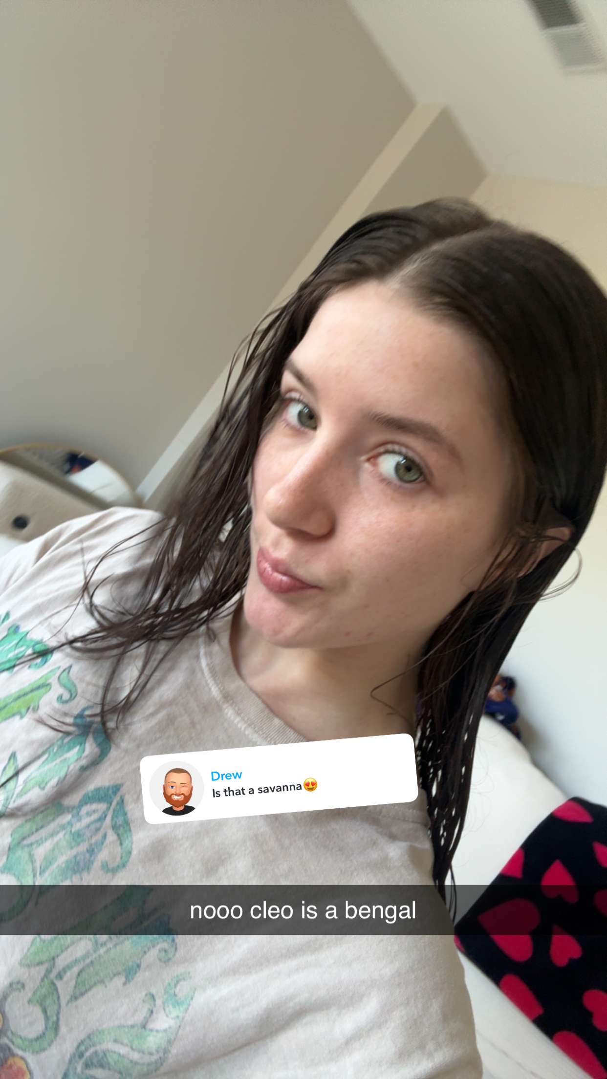 ameliabfit snapchat image archive image