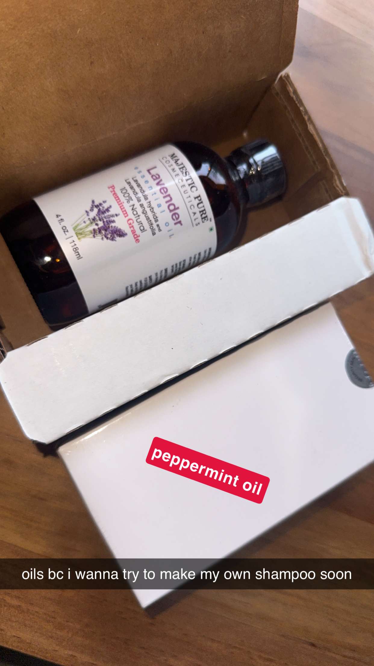 ameliabfit snapchat image archive image