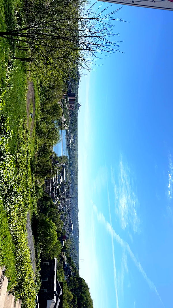 ameliabfit image ~ Altpins