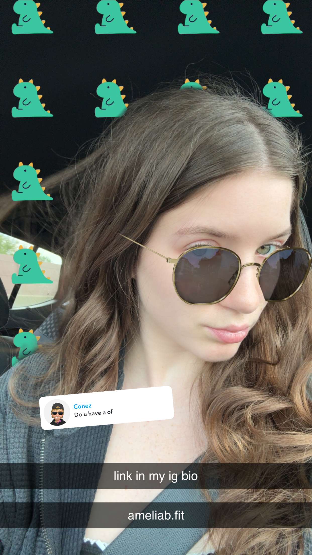 ameliabfit snapchat image archive image