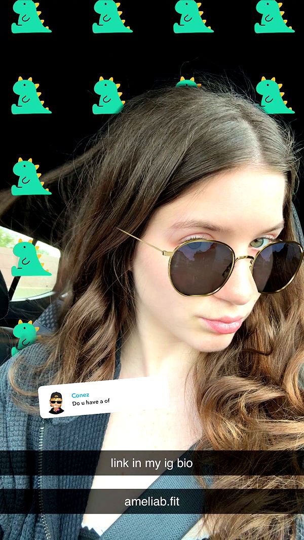 ameliabfit image ~ Altpins