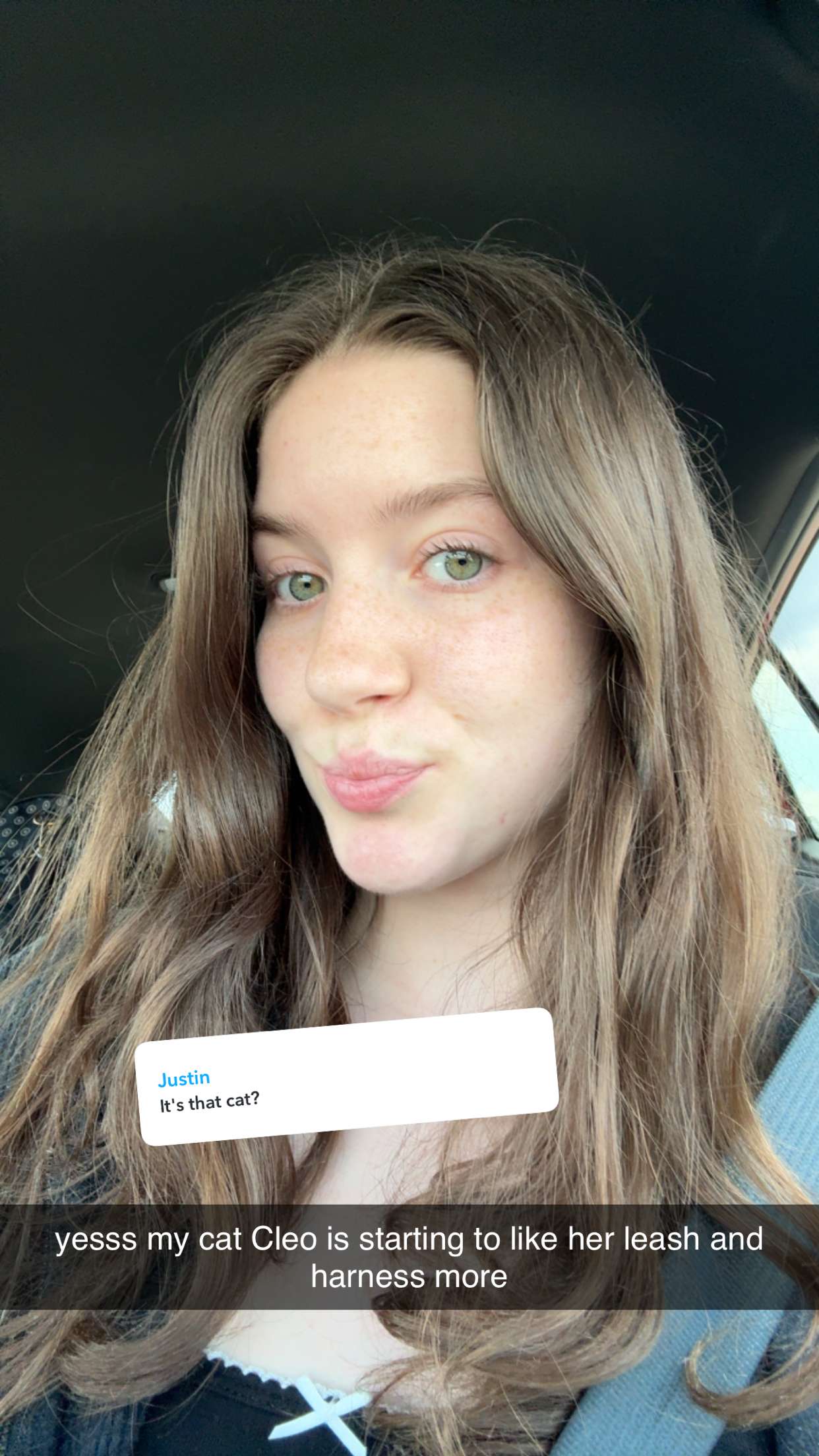 ameliabfit snapchat image archive image