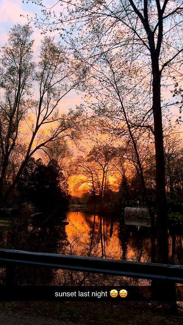 ameliabfit image ~ Altpins