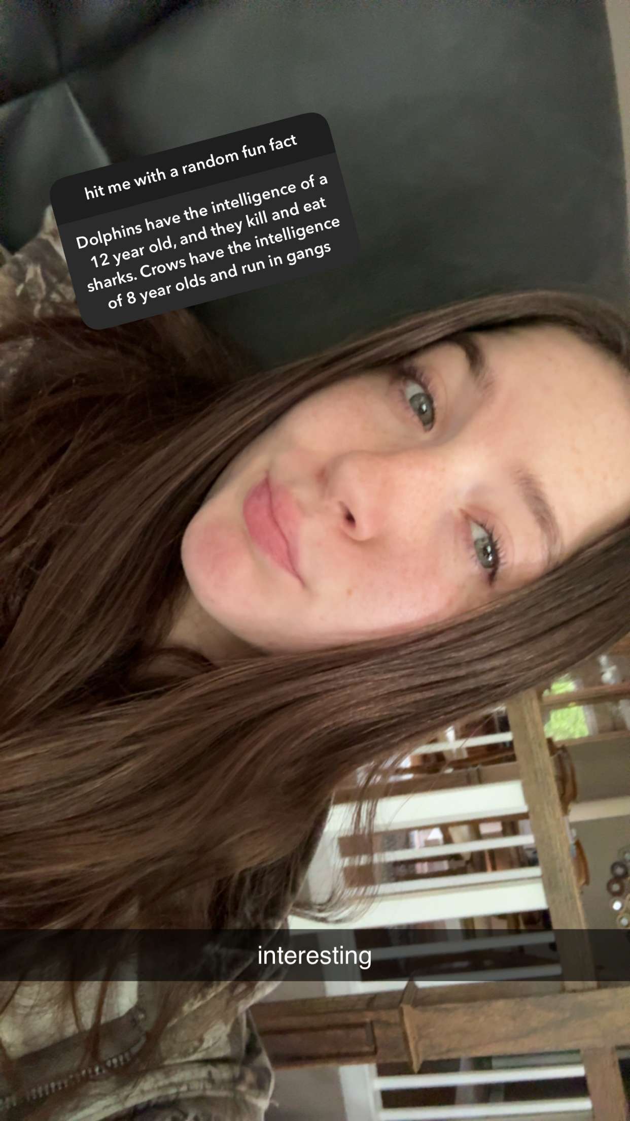 ameliabfit snapchat image archive image