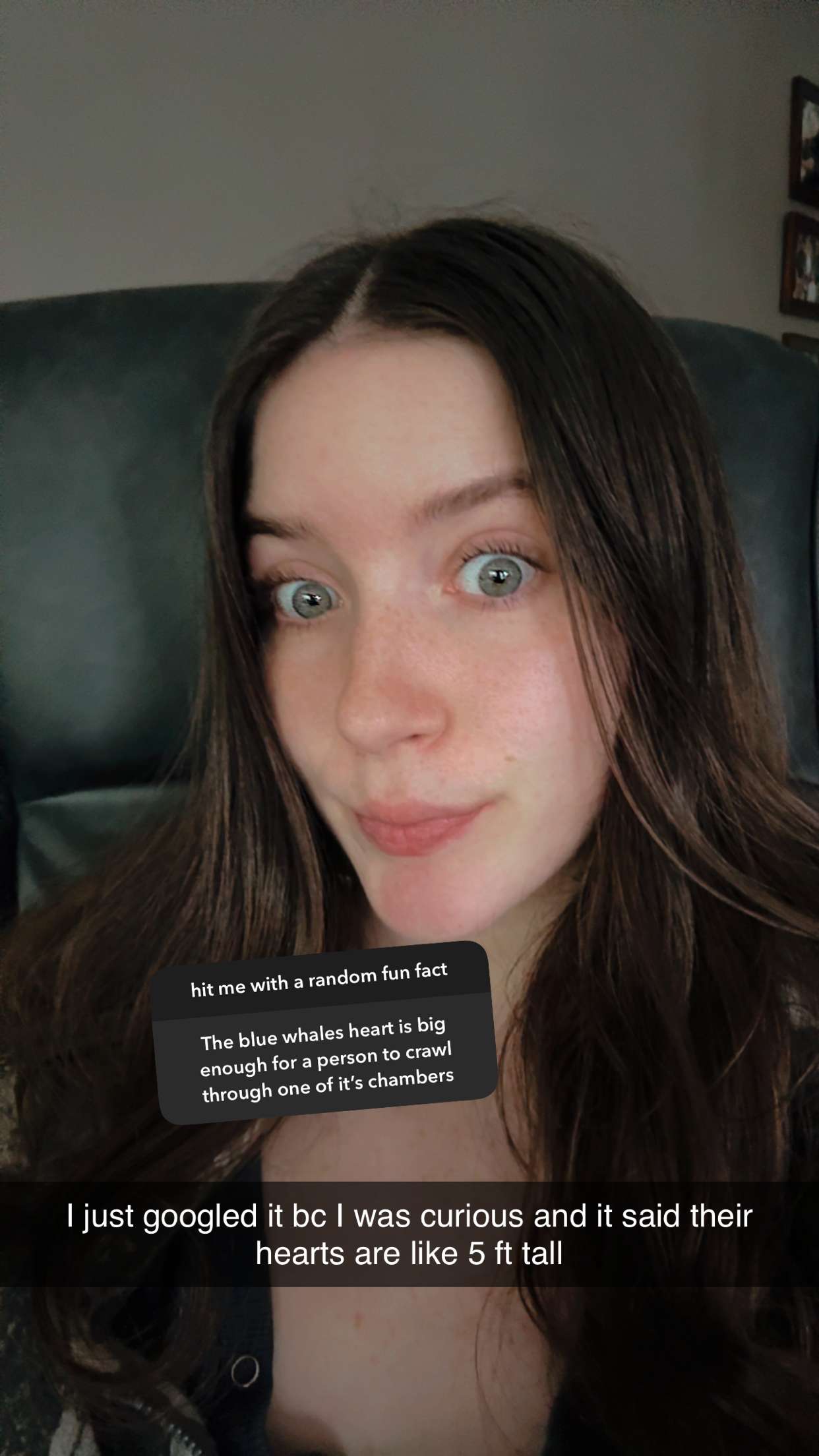 ameliabfit snapchat image archive image