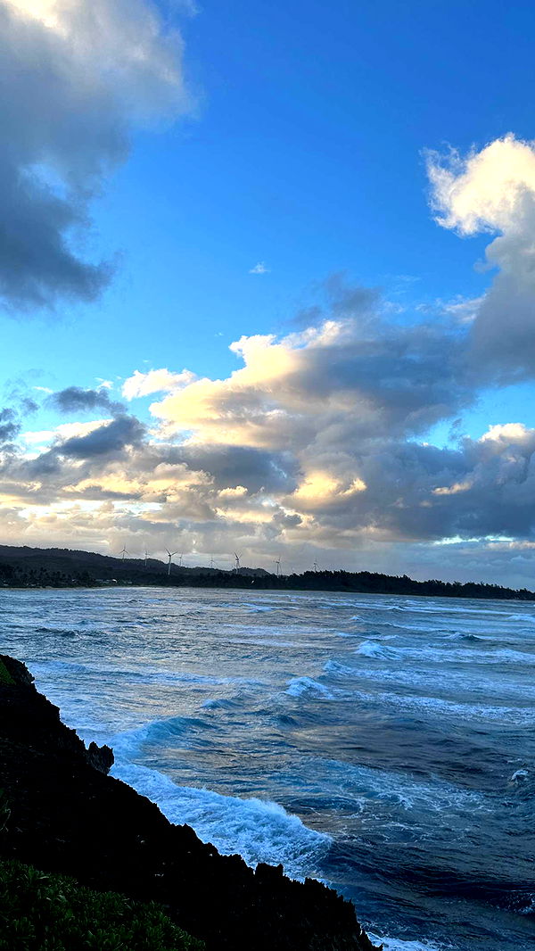 ameliabfit image ~ Altpins