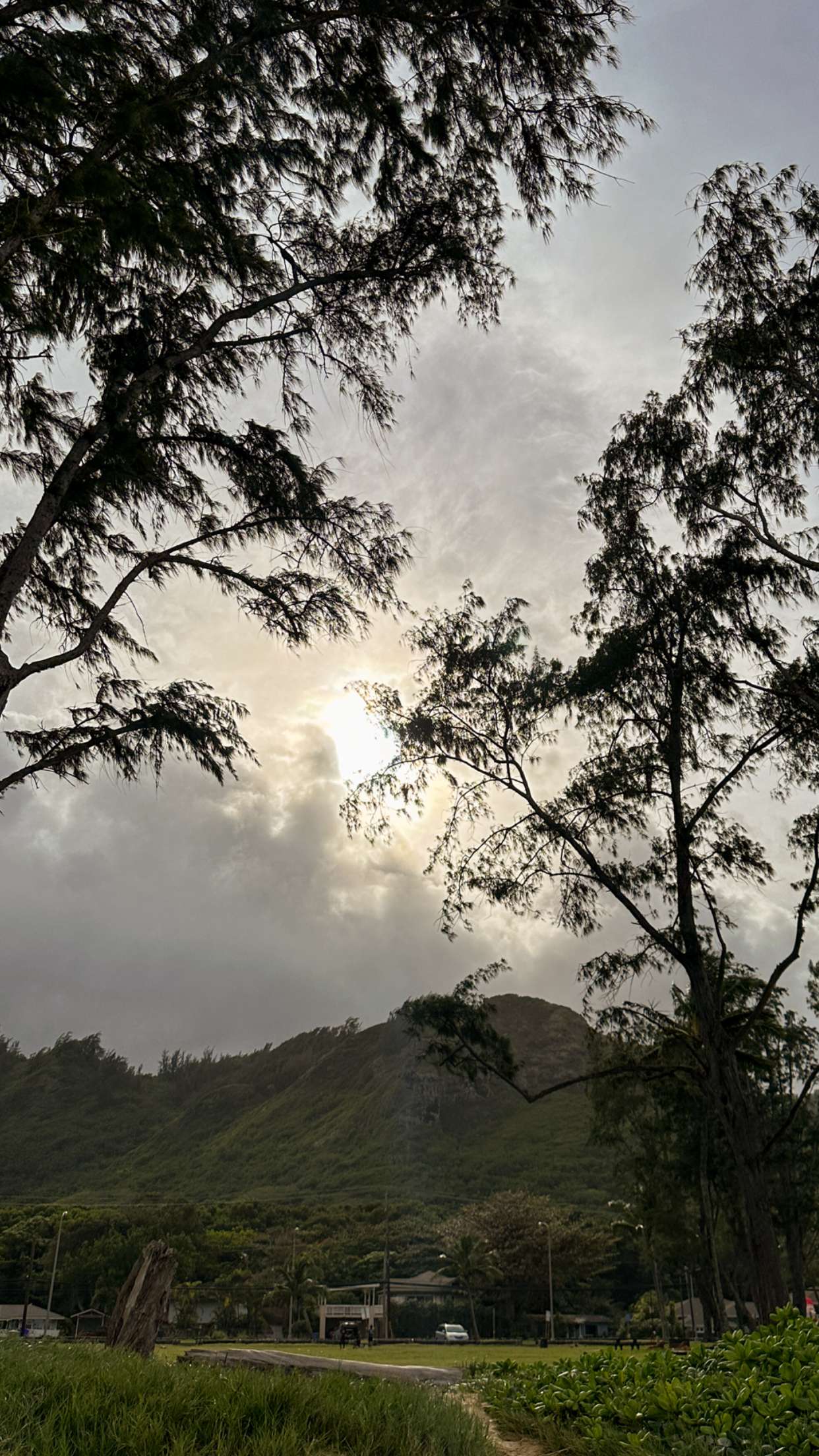 ameliabfit snapchat image archive image