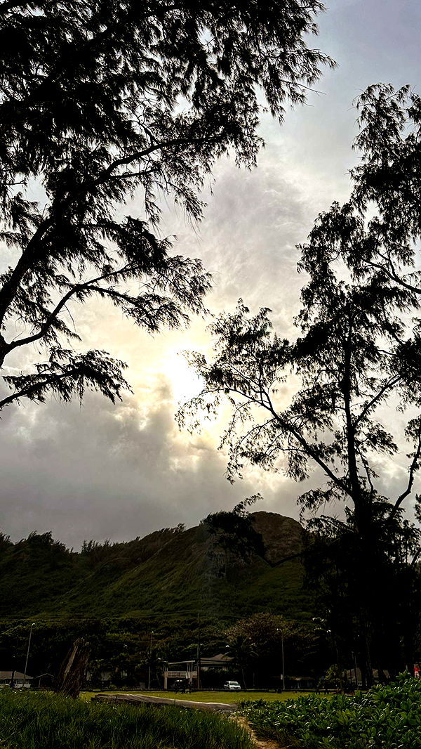 ameliabfit image ~ Altpins