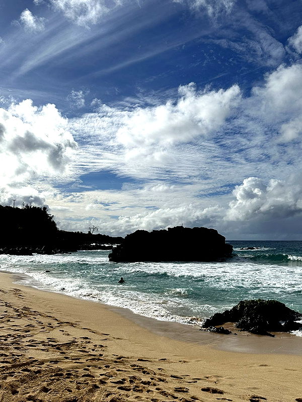 ameliabfit image ~ Altpins