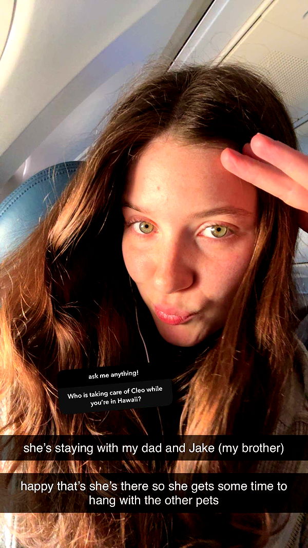 ameliabfit image ~ Altpins