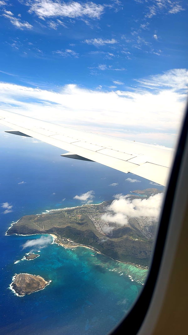 ameliabfit image ~ Altpins