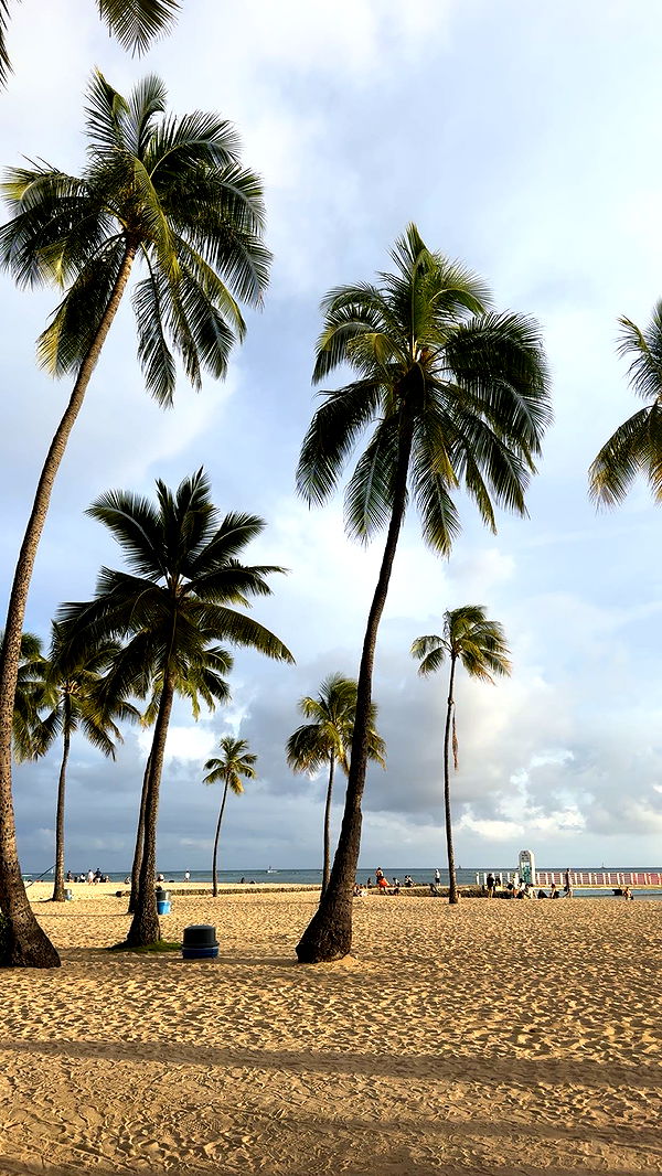 ameliabfit image ~ Altpins