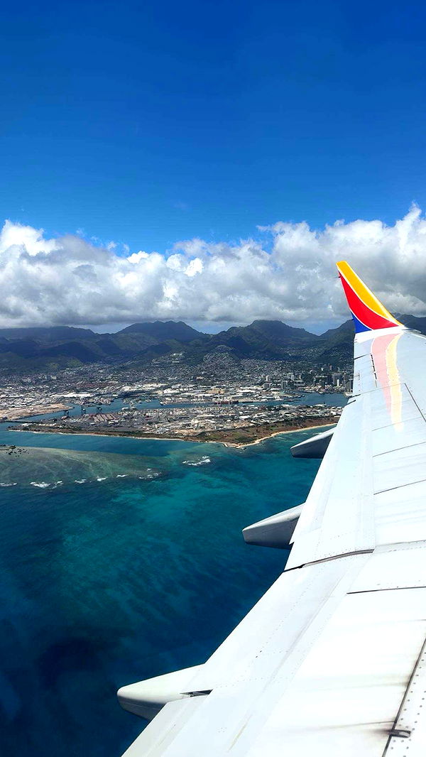 ameliabfit image ~ Altpins