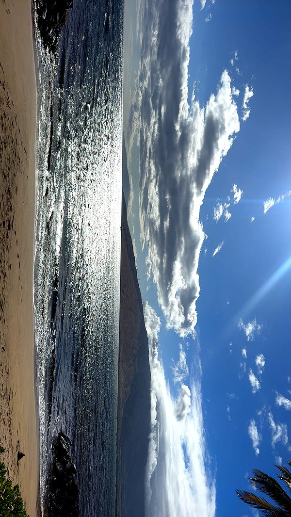 ameliabfit image ~ Altpins