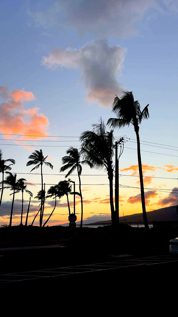 ameliabfit image ~ Altpins